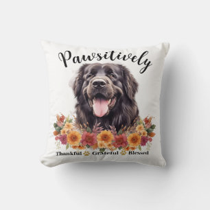 Prachtig Dankbare Gezegende Cute Hond Kussen