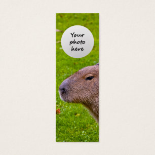 Prachtig dier Capybara Mini Visitekaartjes