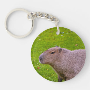 Prachtig dier Capybara Sleutelhanger