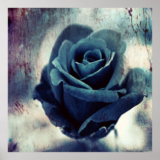 Prachtig elegant Magisch Kunstblauw Roos Poster