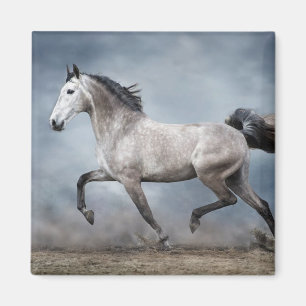 Prachtig grijs paard dramatisch hemels zandlandsch magneet