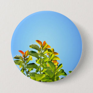 prachtig groen en oranje plant dat een helder beel ronde button 7,6 cm