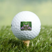 Prachtig Iris Fantasie Pad Golfballen (Insitu Shirt)
