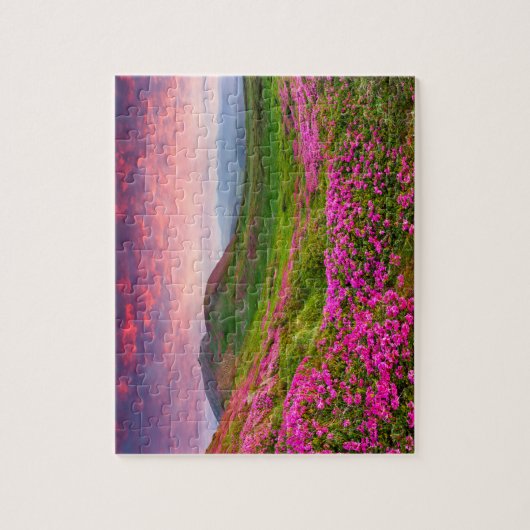 Prachtig landschap van 8 x 10 inch legpuzzel (Verticaal)