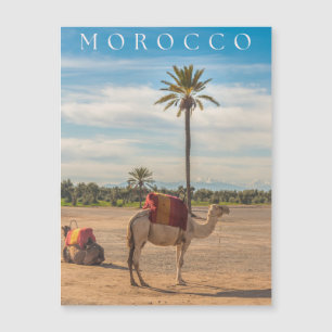 Prachtig Marrakech Camel Desert Avontuur