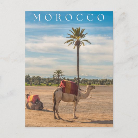 Prachtig Marrakech Camel Desert Avontuur Briefkaart (Voorkant)