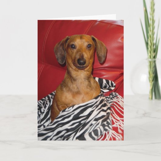 PRACHTIG MICKEY- WENSKAART KAART (Voorkant)