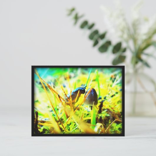 Prachtig om je te ontmoeten Slug en paddenstoel fo Briefkaart (Staand voorkant)