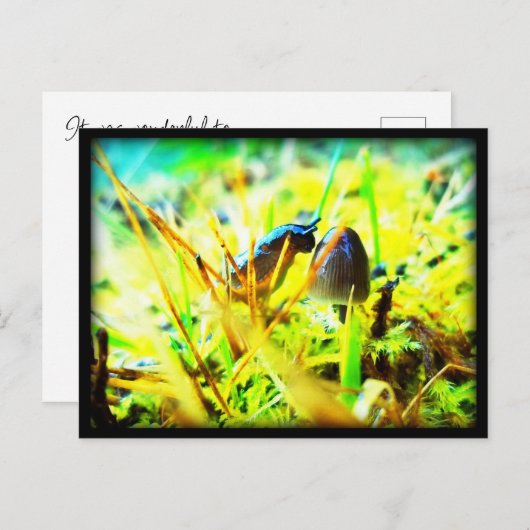 Prachtig om je te ontmoeten Slug en paddenstoel fo Briefkaart (Voorkant / Achterkant)