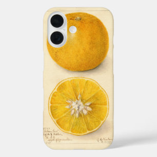 Prachtig Oranje kunstwerk iPhone 16 Hoesje