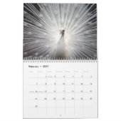 Prachtig Peacock 2017 Kalender (Feb 2027)