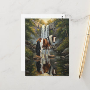 Prachtig Pinto-paard bij de Waterval Briefkaart