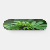 Prachtig Plant Skateboard (Horizontaal)