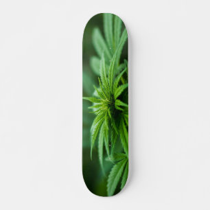 Prachtig Plant Skateboard