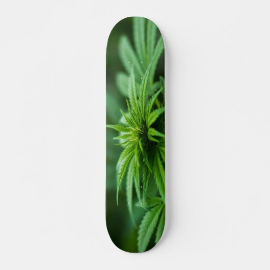 Prachtig Plant Skateboard (Voorkant)