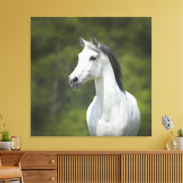 Prachtig portret van wit paard met groene achtergr canvas afdruk