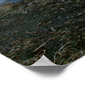 prachtig poster (Hoek)