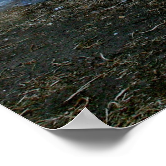 prachtig poster (Hoek)