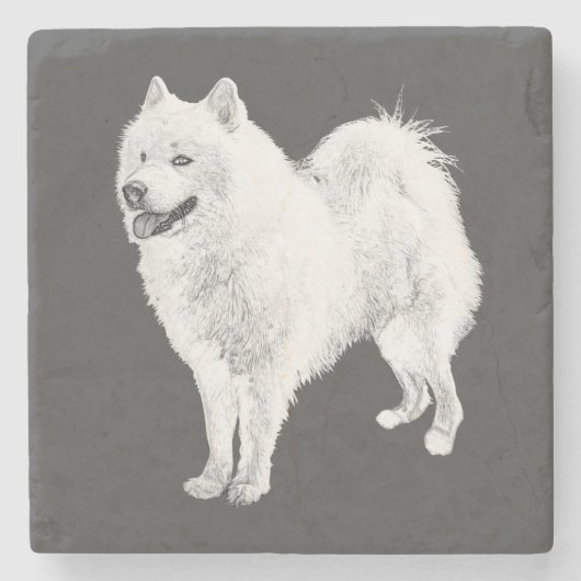 Prachtig potlood getekend Samoyed Dog Marmer Onder Stenen Onderzetter (Voorkant)