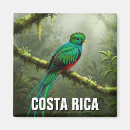 Prachtig Quetzal Monteverde-nevelwoud Magneet