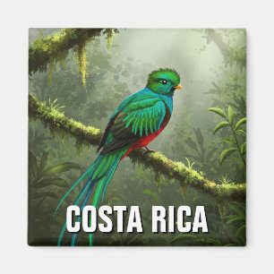 Prachtig Quetzal Monteverde-nevelwoud Magneet