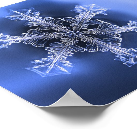 Prachtig Real Snowflake Blue en White Poster (Hoek)