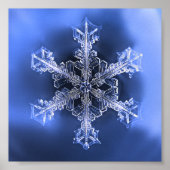 Prachtig Real Snowflake Blue en White Poster (Voorkant)