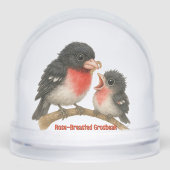 Prachtig Roos Borstbreek Sneeuwbol (Voorkant)