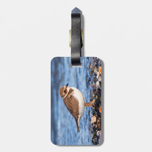 Prachtig Semipalmated Plover bij het strand Bagagelabel (Achterkant verticaal)