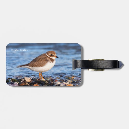 Prachtig Semipalmated Plover bij het strand Bagagelabel (Achterkant horizontaal)