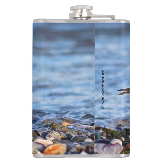 Prachtig Semipalmated Plover bij het strand Heupfles (Achterkant)