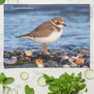 Prachtig Semipalmated Plover bij het strand Theedoek