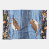 Prachtig Semipalmated Plover bij het strand Theedoek (Horizontaal)