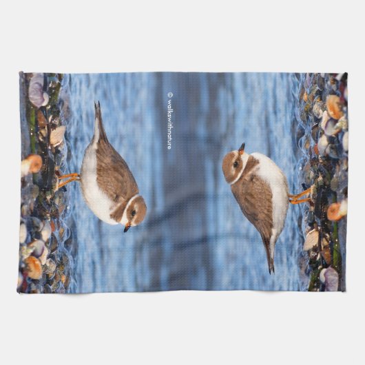 Prachtig Semipalmated Plover bij het strand Theedoek (Horizontaal)