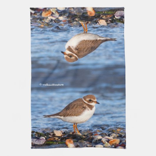 Prachtig Semipalmated Plover bij het strand Theedoek (Verticaal)