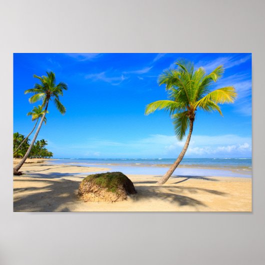 Prachtig tropisch strand met palmbomen poster (Voorkant)