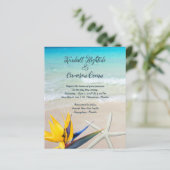 Prachtig twitboek over tropische marinewieg (Staand voorkant)