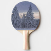 Prachtig winterlandschap als het sneeuwt tafeltennisbatje (Voorkant)