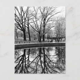 Prachtig winterlandschap in het centrale park briefkaart