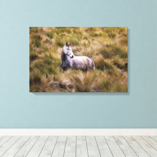 Prachtig wit Praire Horse Poster Canvas Afdruk (Insitu (Houten vloer))