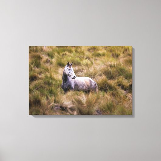 Prachtig wit Praire Horse Poster Canvas Afdruk (Voorkant)