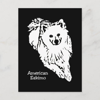 Prachtig zwart-wit Amerikaans Eskimo-briefkaart Briefkaart