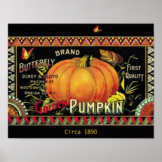 Prachtige 1890 Butterfly Pumpkin Ad copy Poster (Voorkant)