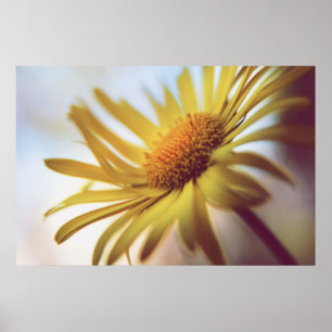 Prachtige Abstracte gele-dagenbloem Poster