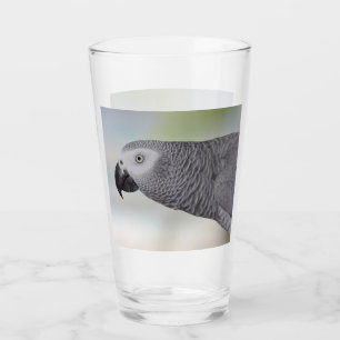 Prachtige Afrikaanse grijze papegaai Glas