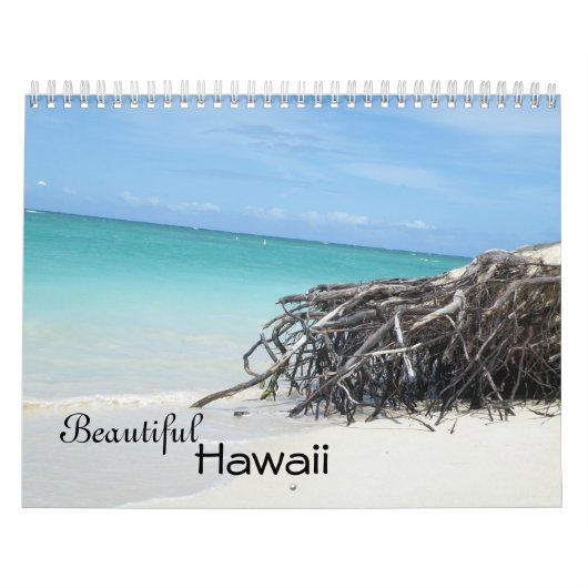 Prachtige agenda voor Hawaii Kalender (Hoes)
