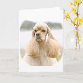 Prachtige Amerikaanse Cocker Spaniel Kaart (Gele Bloem)