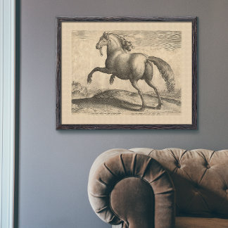 Prachtige Antiek Stallion Elegant Poster
