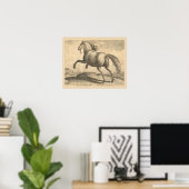 Prachtige Antiek Stallion Elegant Poster (Thuiskantoor)