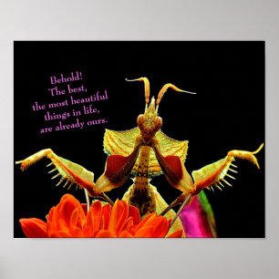 Prachtige antis en bloemen helder en mooi Poster